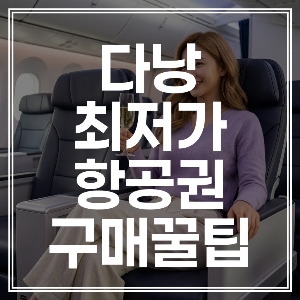다낭 베트남여행 비행기표